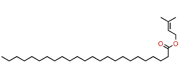 3-Methyl-2-butenyl tetracosanoate